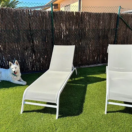 Vakantiehuis Modernes Einfamilienhaus Mit Pool